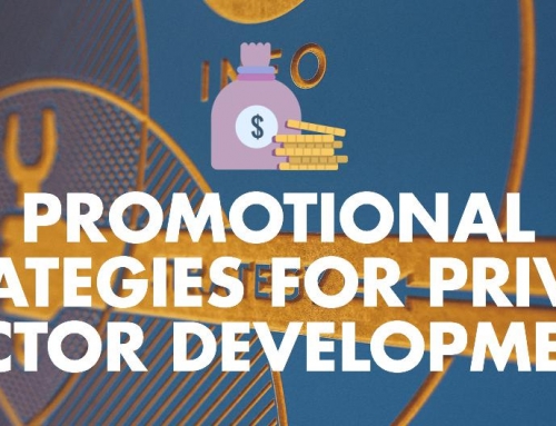 Promotional Strategies For Private Sector Development